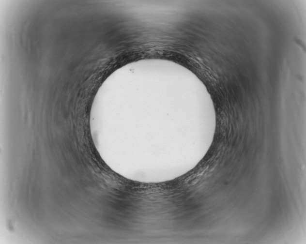 X0000095510769200712140934