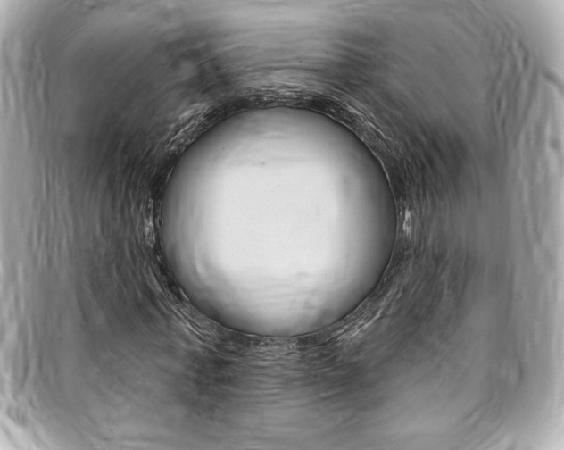 X0000095510771200712140934