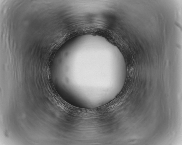 X0000095510772200712140934