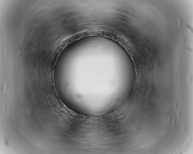X0000095510773200712140934