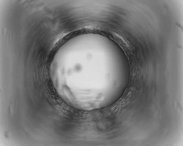X0000095510776200712140933