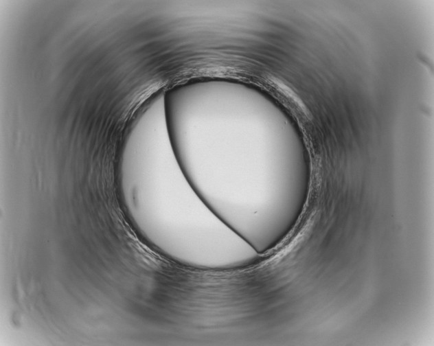 X0000095510777200712140933