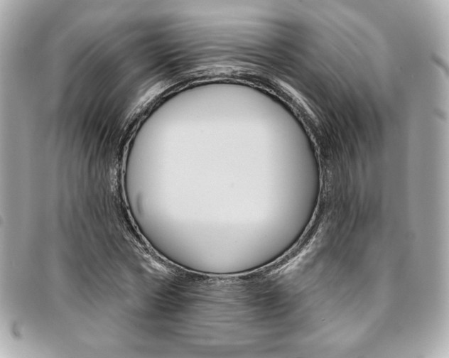 X0000095510778200712140933