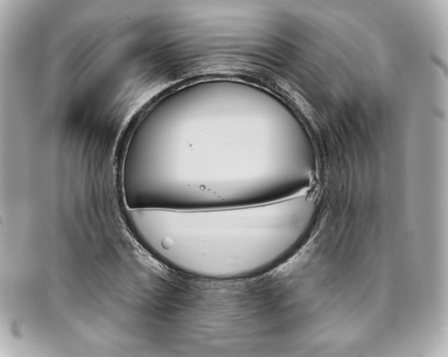 X0000095510779200712140933