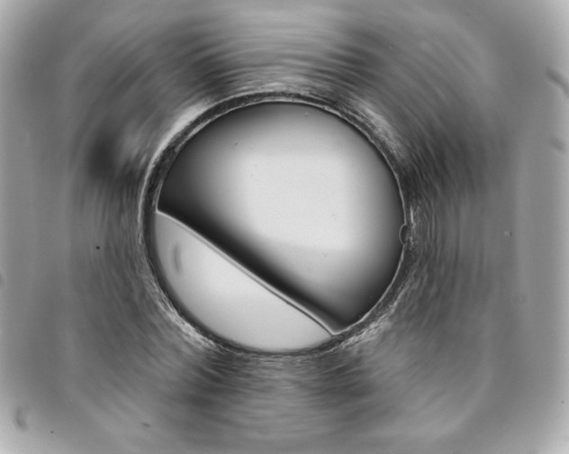 X0000095510780200712140933