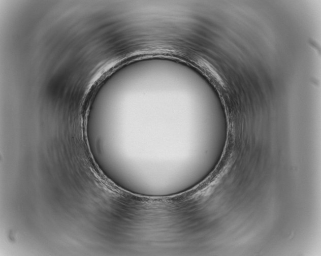 X0000095510781200712140933