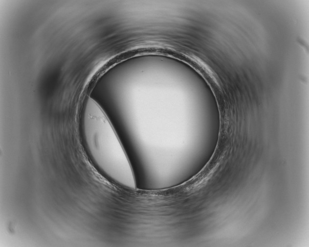 X0000095510783200712140933