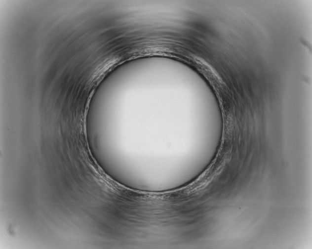 X0000095510785200712140933
