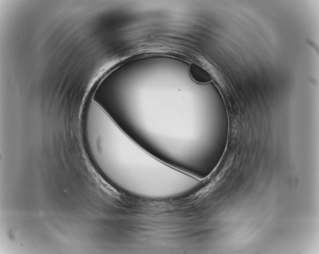 X0000095510787200712140933