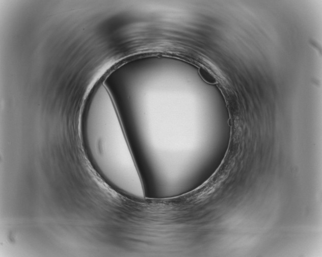 X0000095510788200712140933