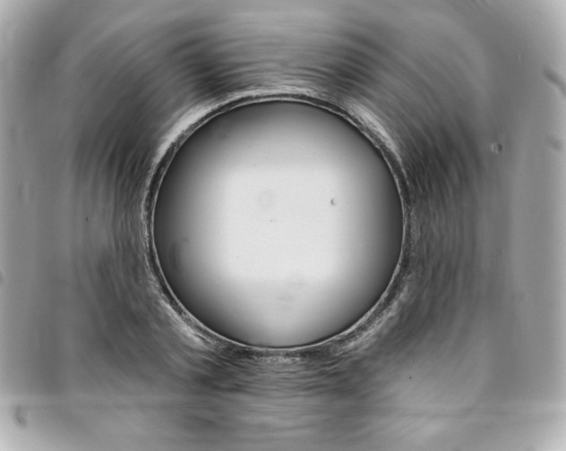 X0000095510789200712140933