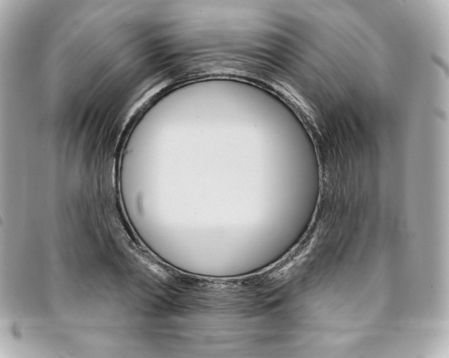 X0000095510790200712140933