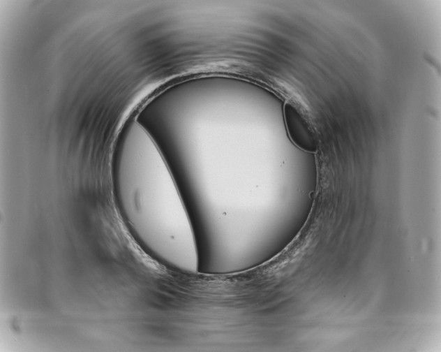 X0000095510792200712140933