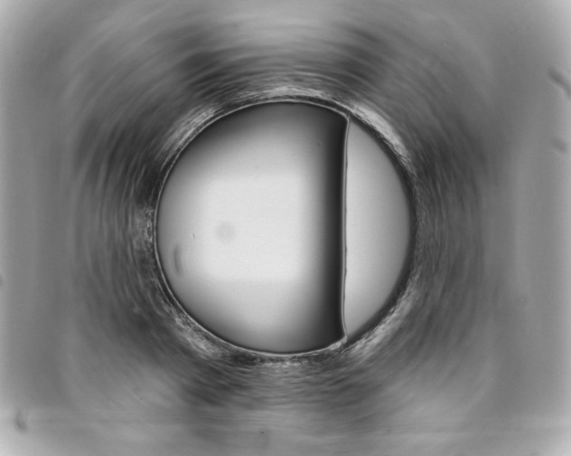 X0000095510793200712140933