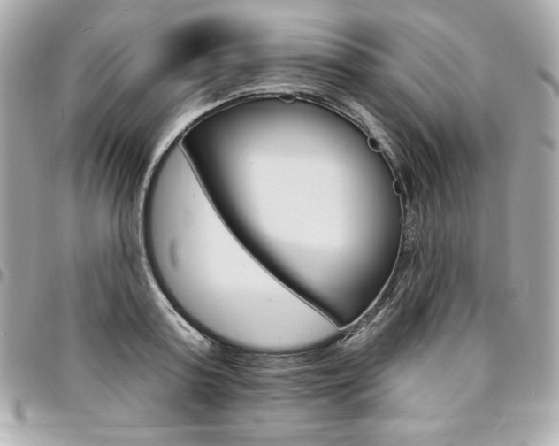 X0000095510795200712140933