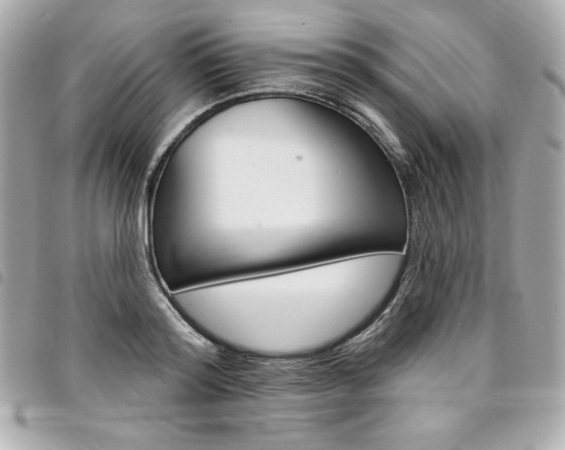 X0000095510796200712140933