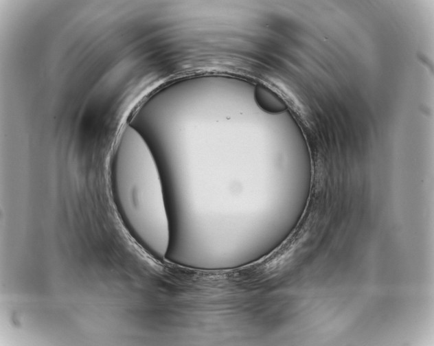 X0000095510798200712140933