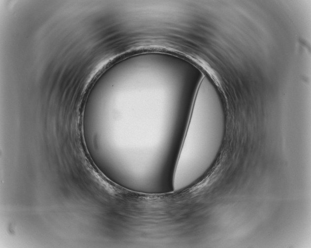 X0000095510799200712140933