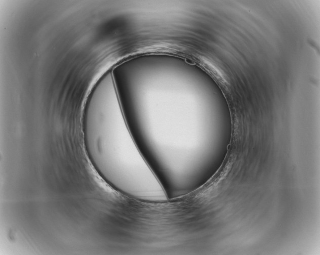X0000095510800200712140933