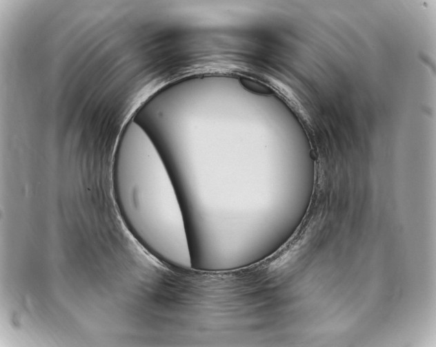 X0000095510802200712140933