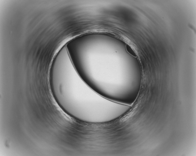 X0000095510803200712140933