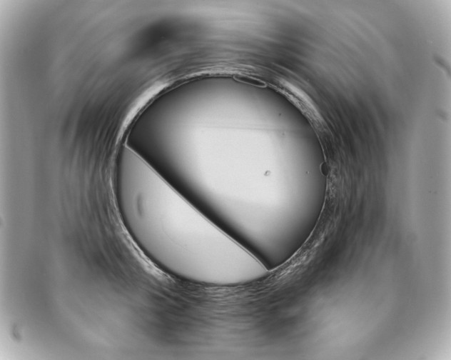 X0000095510804200712140933