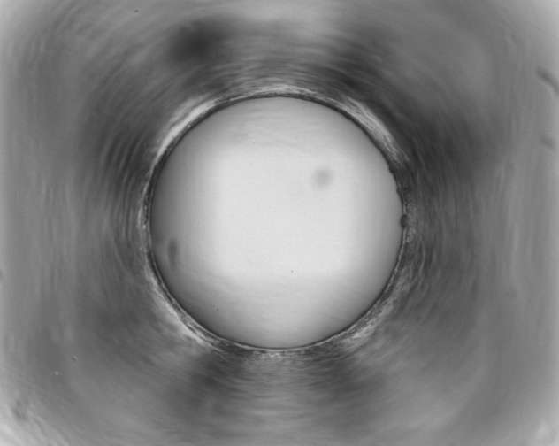 X0000095510806200712140933