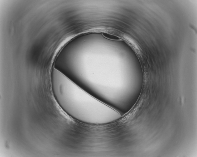 X0000095510808200712140933
