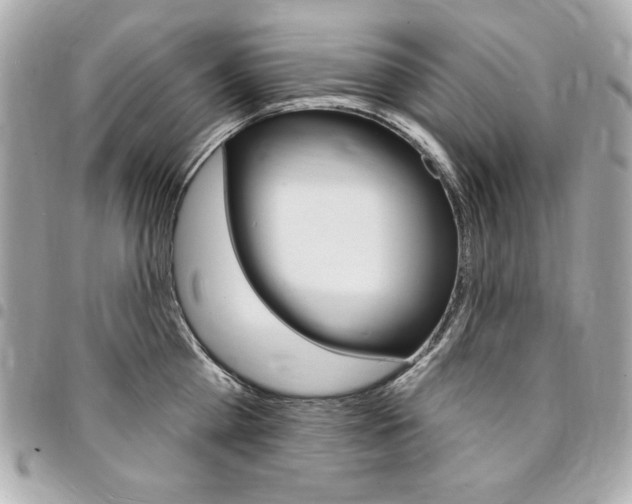 X0000095510809200712140933