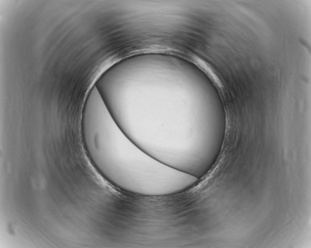 X0000095510810200712140933