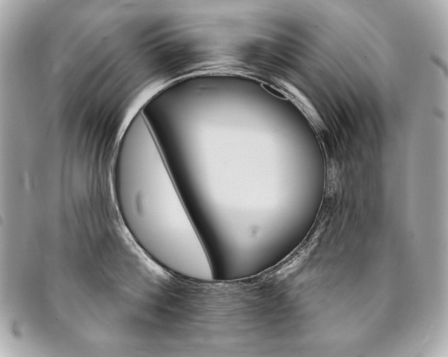 X0000095510812200712140933