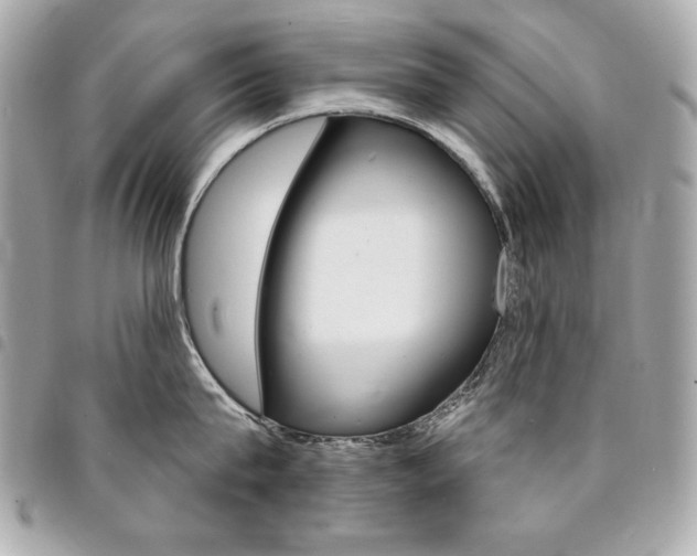 X0000095510815200712140933
