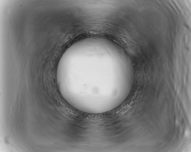 X0000095510817200712140932