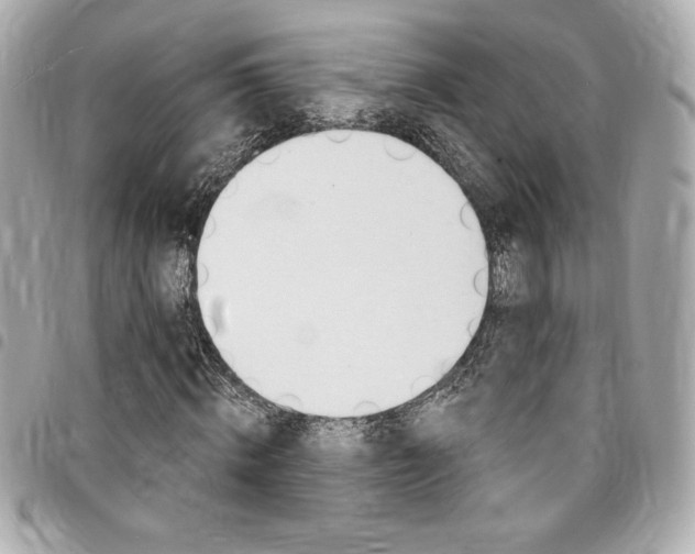 X0000095510820200712140932