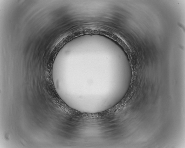 X0000095510823200712140932