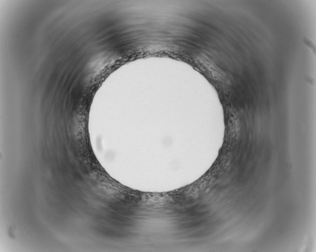X0000095510824200712140932