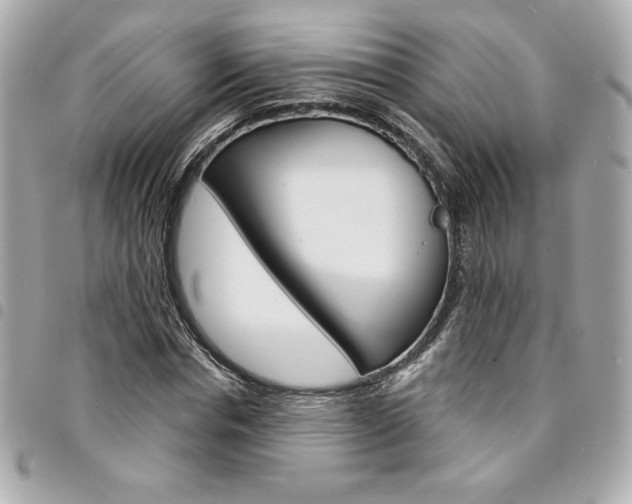 X0000095510826200712140932