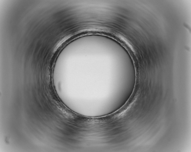 X0000095510829200712140932
