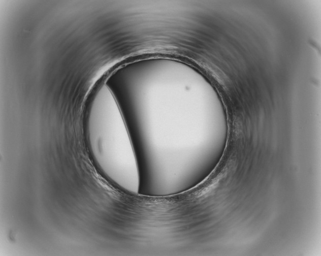 X0000095510830200712140932