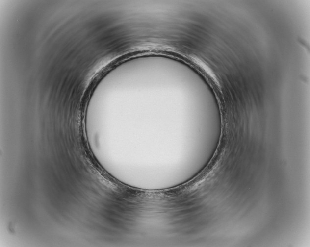 X0000095510831200712140932