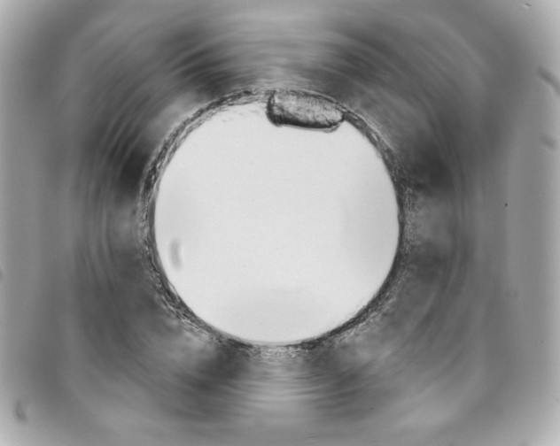 X0000095510832200712140932