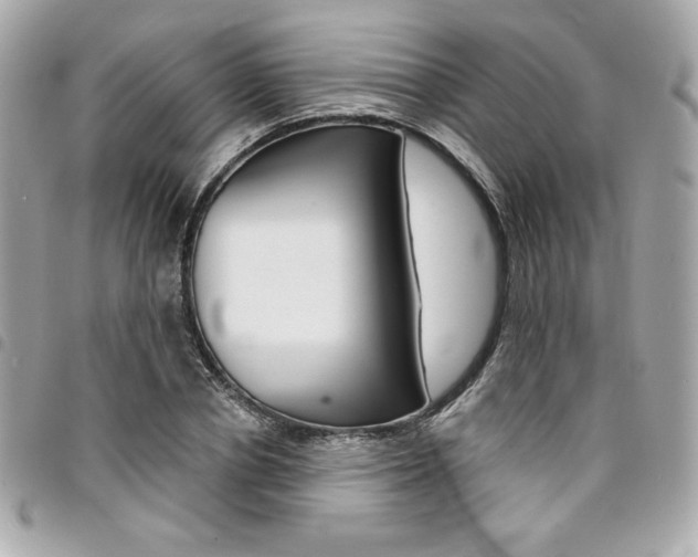 X0000095510834200712140933