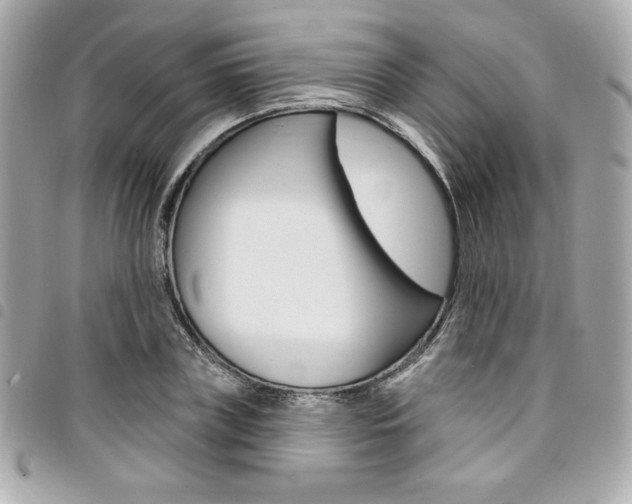X0000095510835200712140933