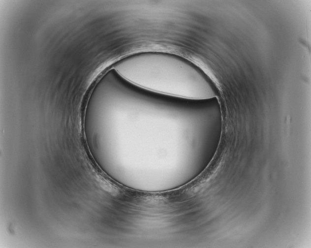 X0000095510837200712140933