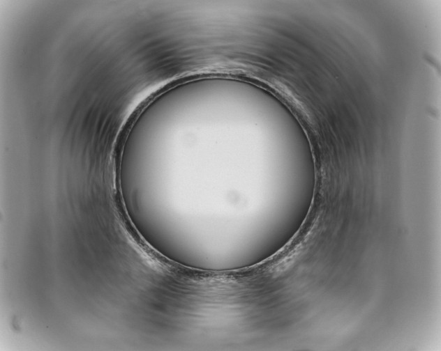 X0000095510838200712140933