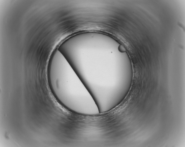 X0000095510840200712140933