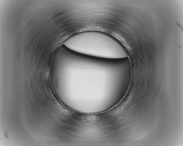 X0000095510841200712140933