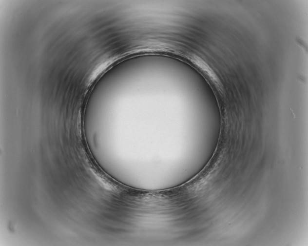 X0000095510842200712140933