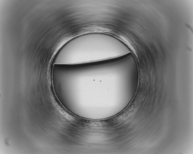 X0000095510843200712140933