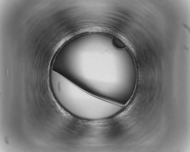 X0000095510845200712140933